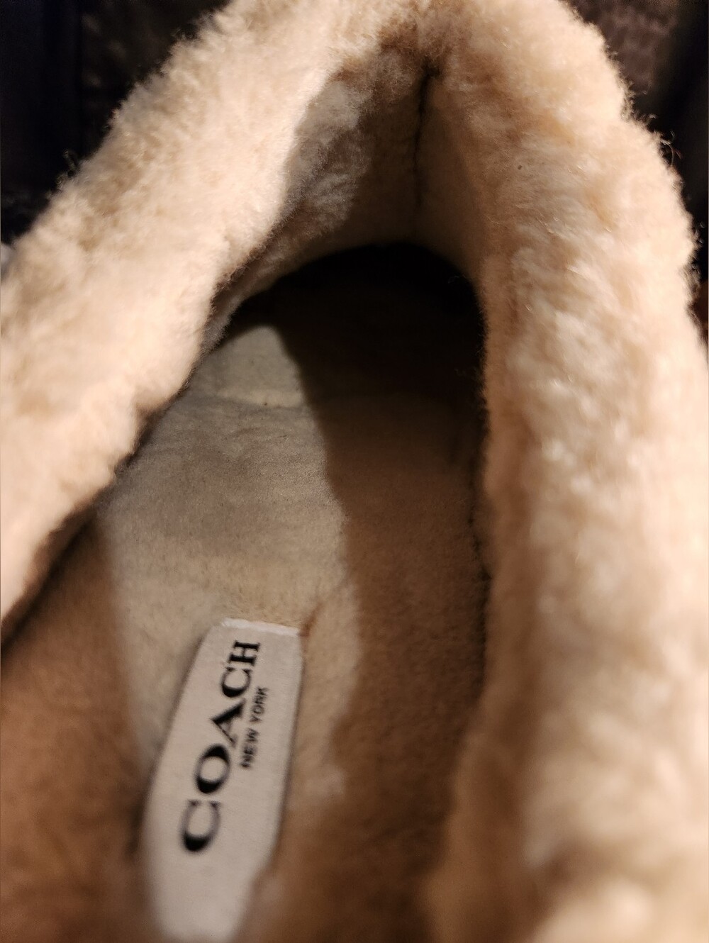 Coach Cecelia Clog Platforms with shearling lining - Picture 4 of 11